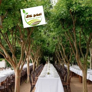 اجرای انواع باغ رستوران