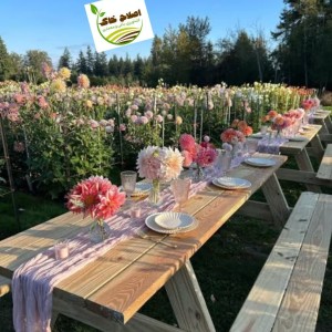 اجرای انواع باغ رستوران