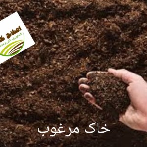 محصول شماره چهار