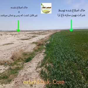 اصلاح خاک اصولی زمین (زراعی ،باغی وگلخانه ای)