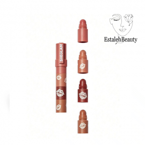 رژ لب مات شیگلم 4 عددی شیگلم Sheglam Bare Stack