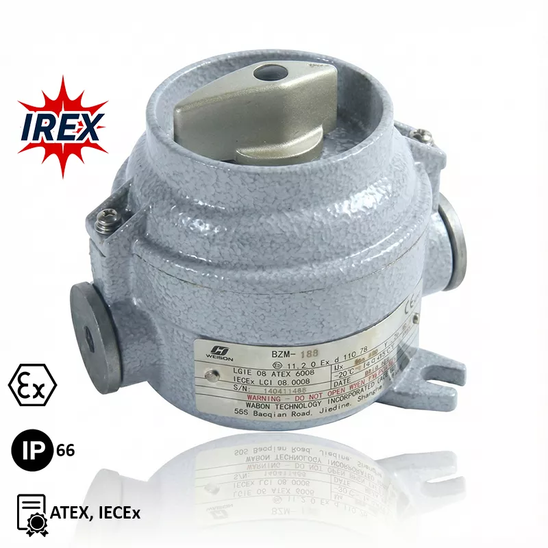 کلید دو پل ضد انفجار وارُم| مدل BZM-16D