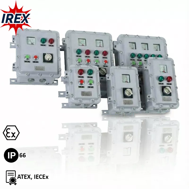 کنترل استیشن ضد انفجار وارُم| مدل BZC