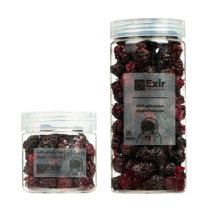 میوه خشک شاتوت