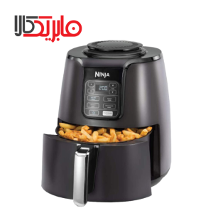 سرخ کن مدل AF100