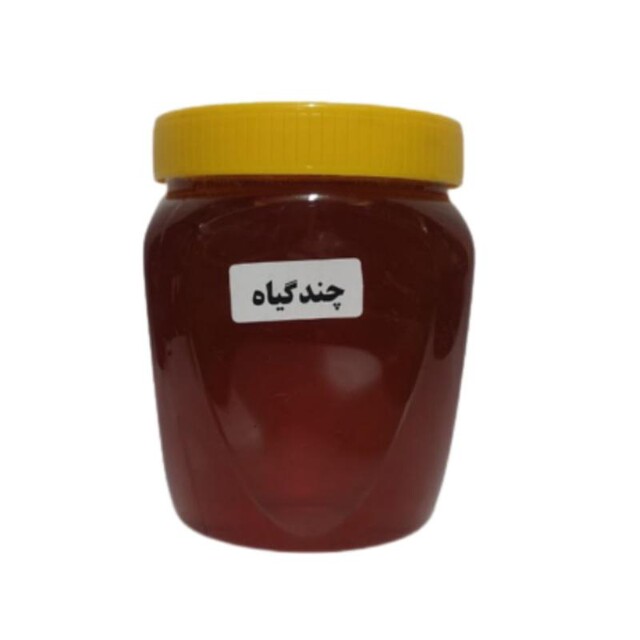 عسل طبیعی چندگیاه (500 گرم)