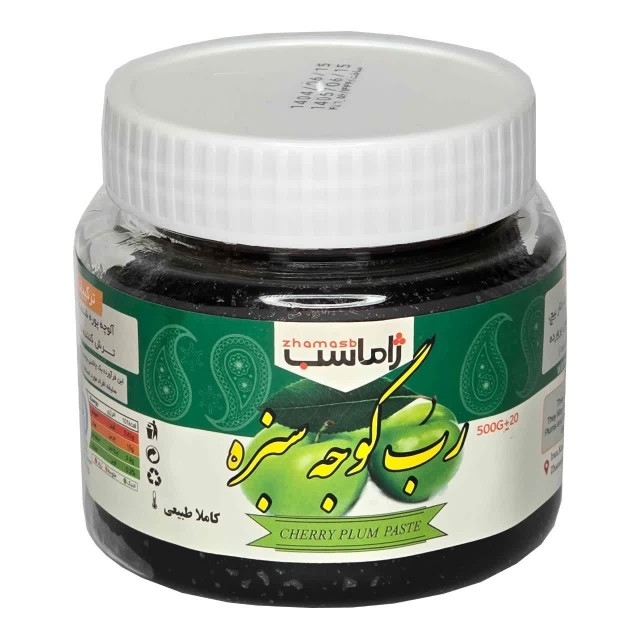 رب گوجه سبز ژاماسب (450 گرم)