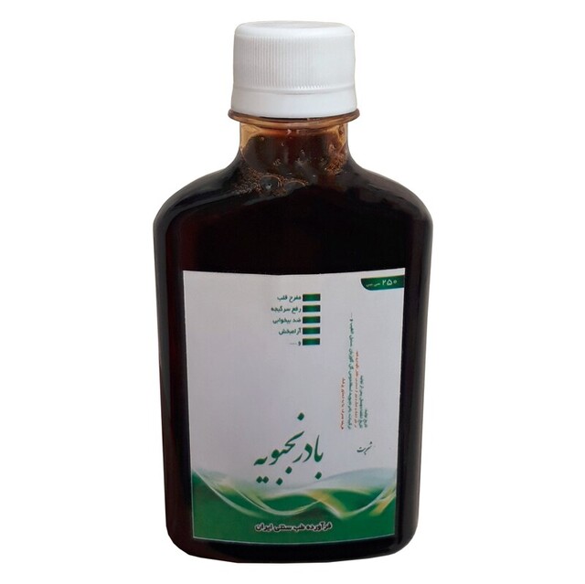 شربت بادرنجبویه طهور (250 گرم)