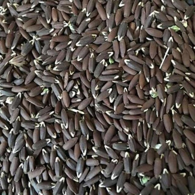 تخم کتان سیاه برزک (250 گرم)