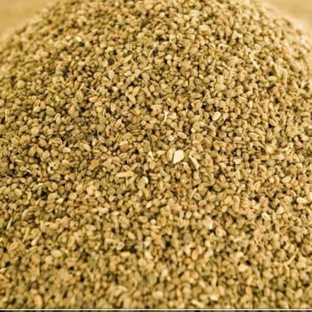 تخم کرفس (100 گرم)