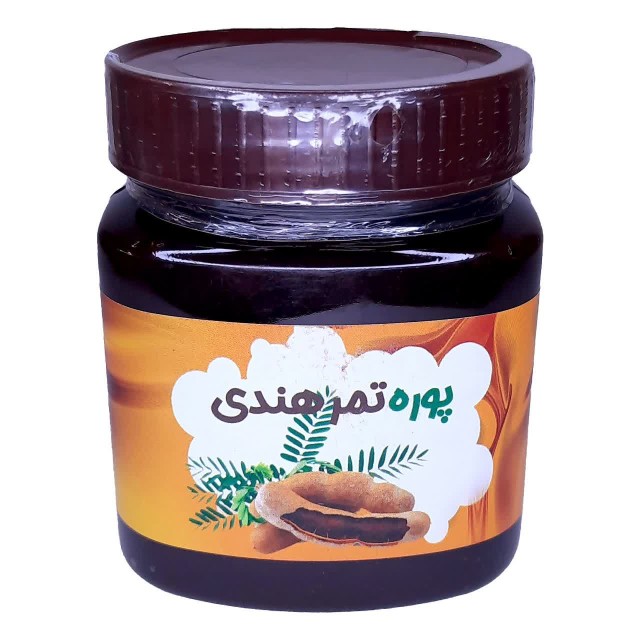 پوره تمر هندی غدیر (480 گرم)