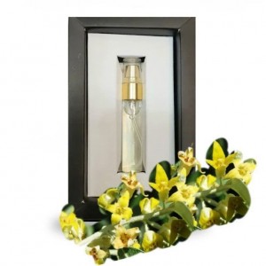 عطر گل سنجد اکسیر موسسه حجامت (5 گرم)