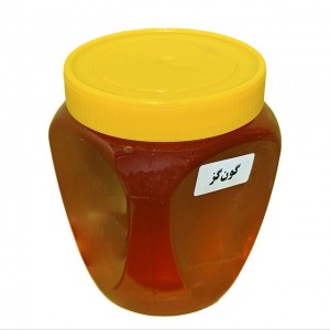 عسل طبیعی گون گز (500 گرم)