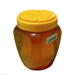 عسل کوهستان (500 گرم)