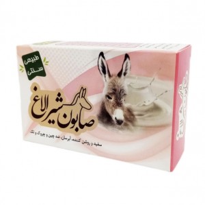 صابون شیر الاغ ارمغان سلامت (85 گرم)