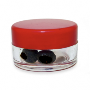 مرکب پنج جامع امام رضا (ع)