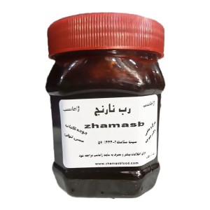 رب نارنج ژاماسب (450 گرم)