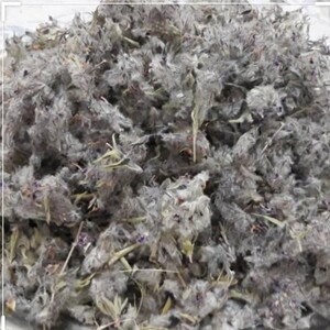 چای کوهی فدک (باز کننده صدا  بهبود گوارش)