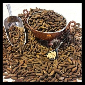 چلغوز (70 گرم)