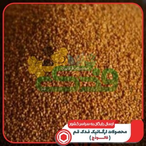 خاکشیر (100 گرم)