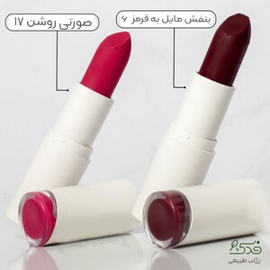 رژلب رولی نیکا (بنفش مایل به قرمز کد 6)