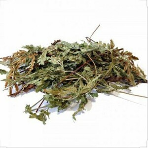 گیاه پرسیاوشان (30 گرم)