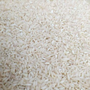 برنج عنبربو فدک (2500گرم)