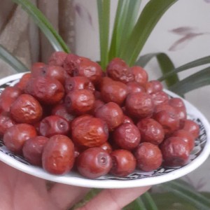 عناب خشک فدک (500گرم)
