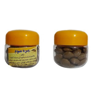 معجون مومیایی فدک (۲۰۰گرم)