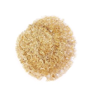 جاصابونی لوفا متراکم