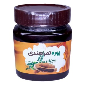 پوره تمر هندی غدیر (480 گرم)