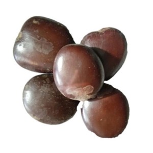 قرص کمر بلادر کبیر فدک سبز (200 گرم)