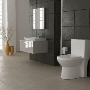 توالت فرنگی گلسار مدل لیونا