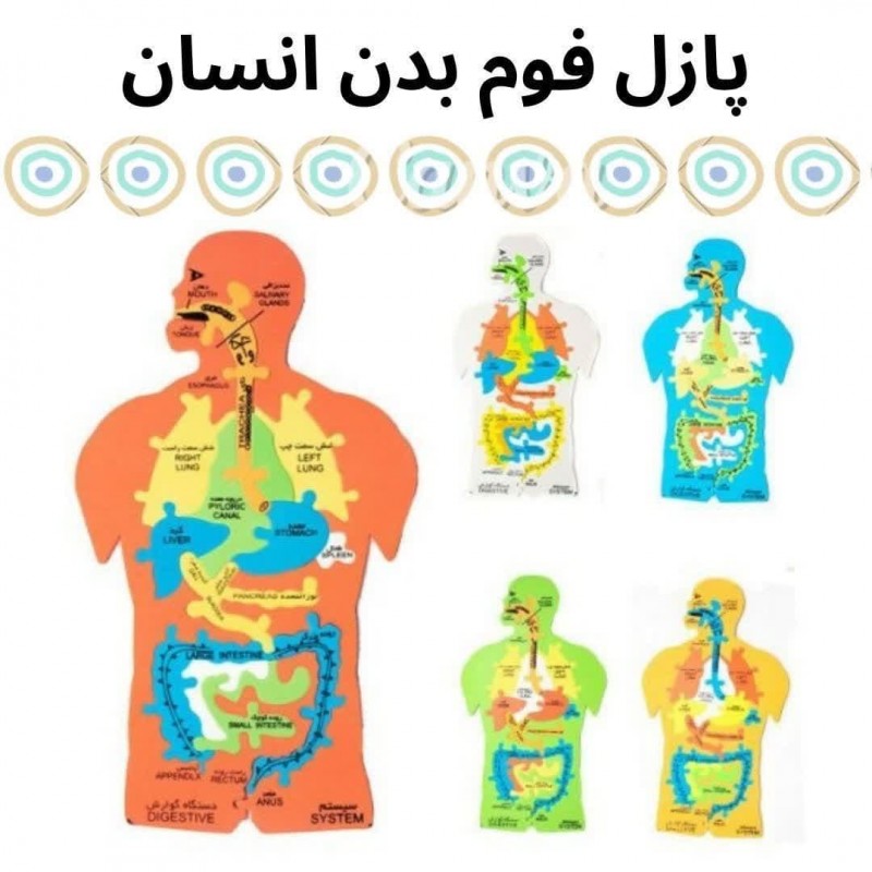 پازل فوم بدن انسان