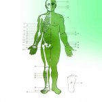 دستگاه فیزیوتراپی فارادیک برجیس 2 کانال