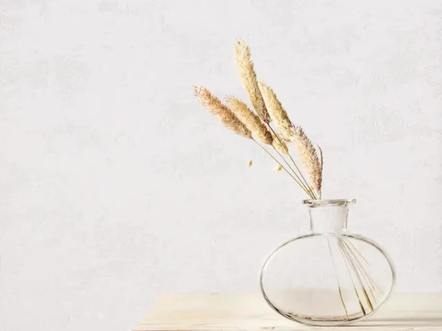 آلبوم کاغذدیواری پلوتونیوم plutonium cod 7054