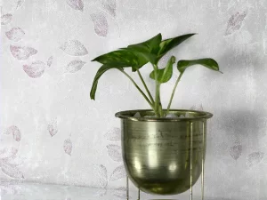 کاغذ دیواری اتم ATOM طرح پتینه / کد ۶۰۵۹