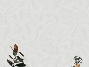 آلبوم تكسچر(1) 202105