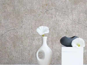 کاغذ دیواری طرح رگه‌دار / پتینه نقره‌ای کد ۱۱۰۹۳