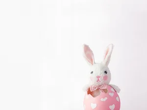 کاغذ دیواری کودک طرح ساده | سفید کد 12096