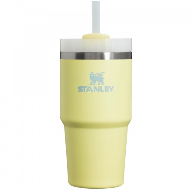 ماگ  استنلی اورجینال مدل Quencher Tumbler H2.0 گنجایش 0.59 لیتر