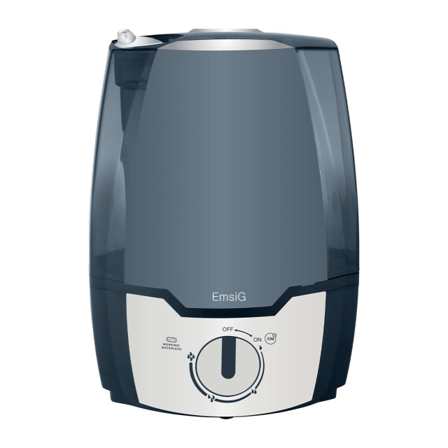 EmsiG