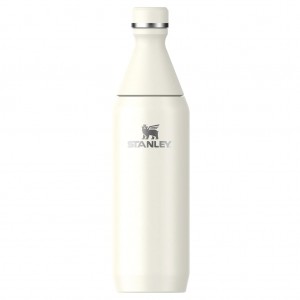 قمقمه آب استنلی The All Day Slim Bottle گنجایش 0.6 لیتر