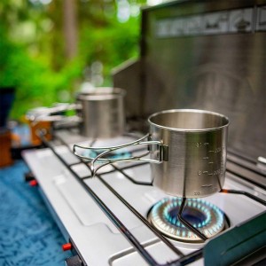 اجاق گاز دوشعله جی اس آی Pinnacle Pro 2 Burner Stove