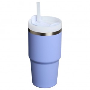 Quencher Tumbler H2.0