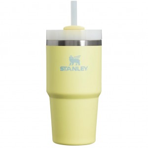 ماگ استنلی اورجینال مدل Quencher Tumbler H2.0 گنجایش 0.59 لیتر