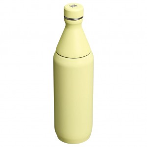 قمقمه آب استنلی اورجینال مدل The All Day Slim Bottle گنجایش 0.6 لیتر
