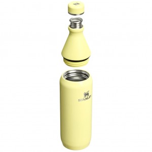 قمقمه آب استنلی اورجینال مدل The All Day Slim Bottle گنجایش 0.6 لیتر