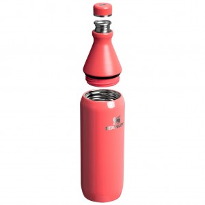 قمقمه آب استنلی اورجینال مدل The All Day Slim Bottle گنجایش 0.6 لیتر