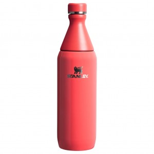 قمقمه آب استنلی اورجینال مدل The All Day Slim Bottle گنجایش 0.6 لیتر